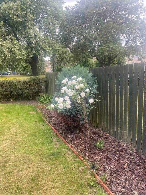 Lovely 2 Bedroom With Private Garden Edinburg Exteriör bild